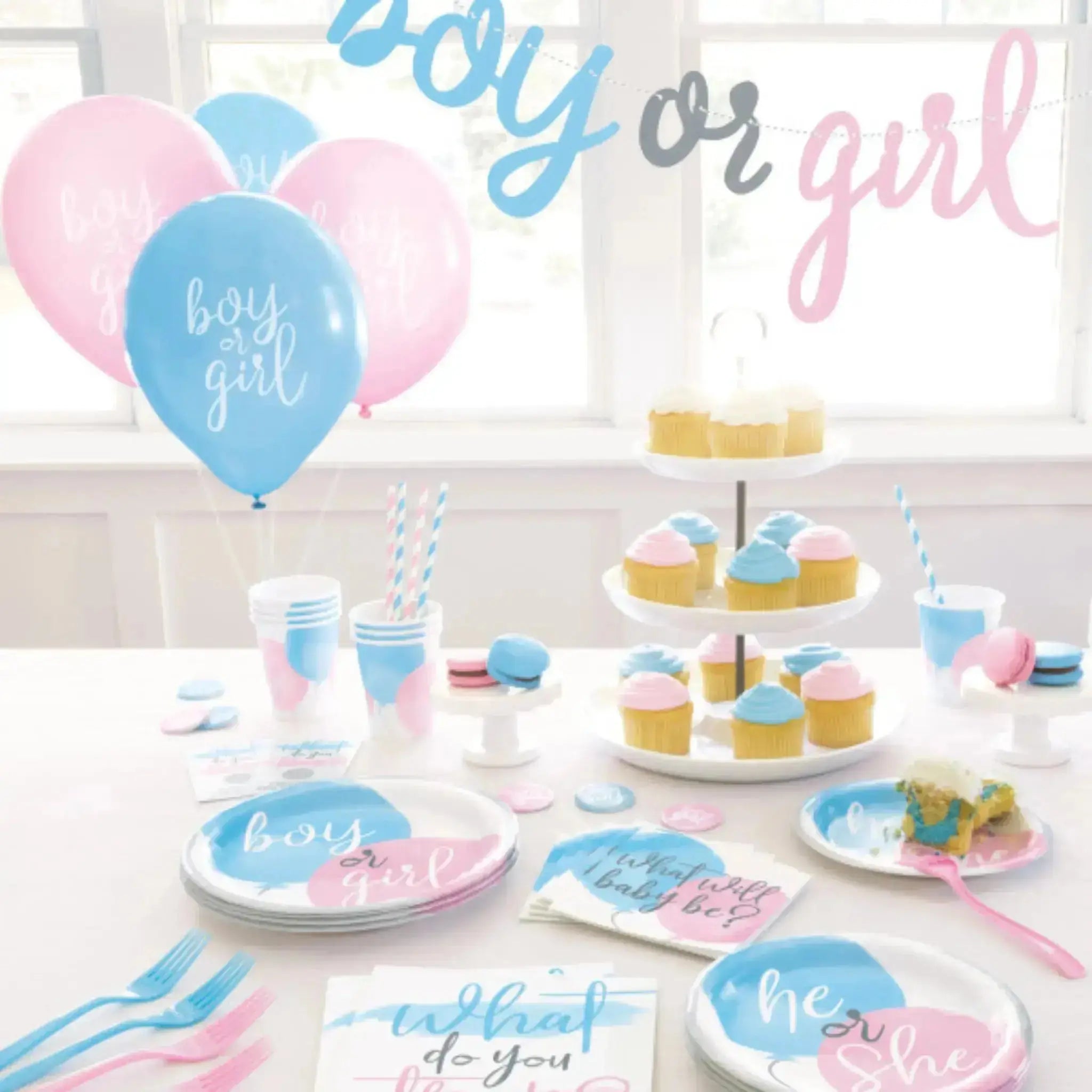 Gender Reveal, Boy or Girl Dinner Plates | The Party Hut
