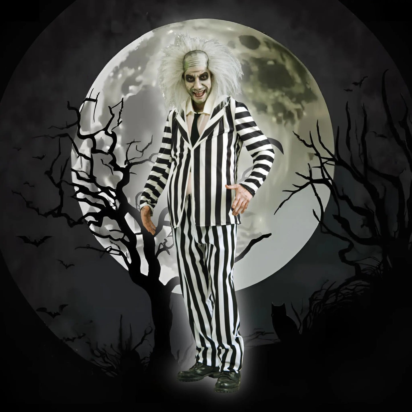 Beetlejuice Men's Costume | The Party Hut