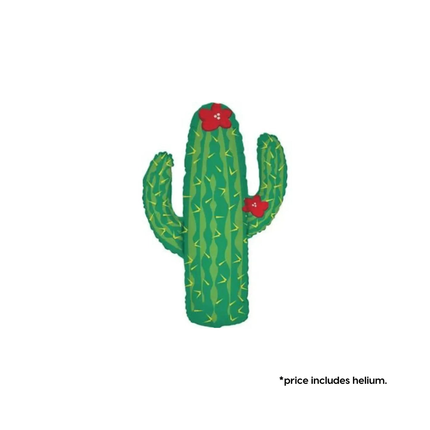 Cactus Balloon | The Party Hut