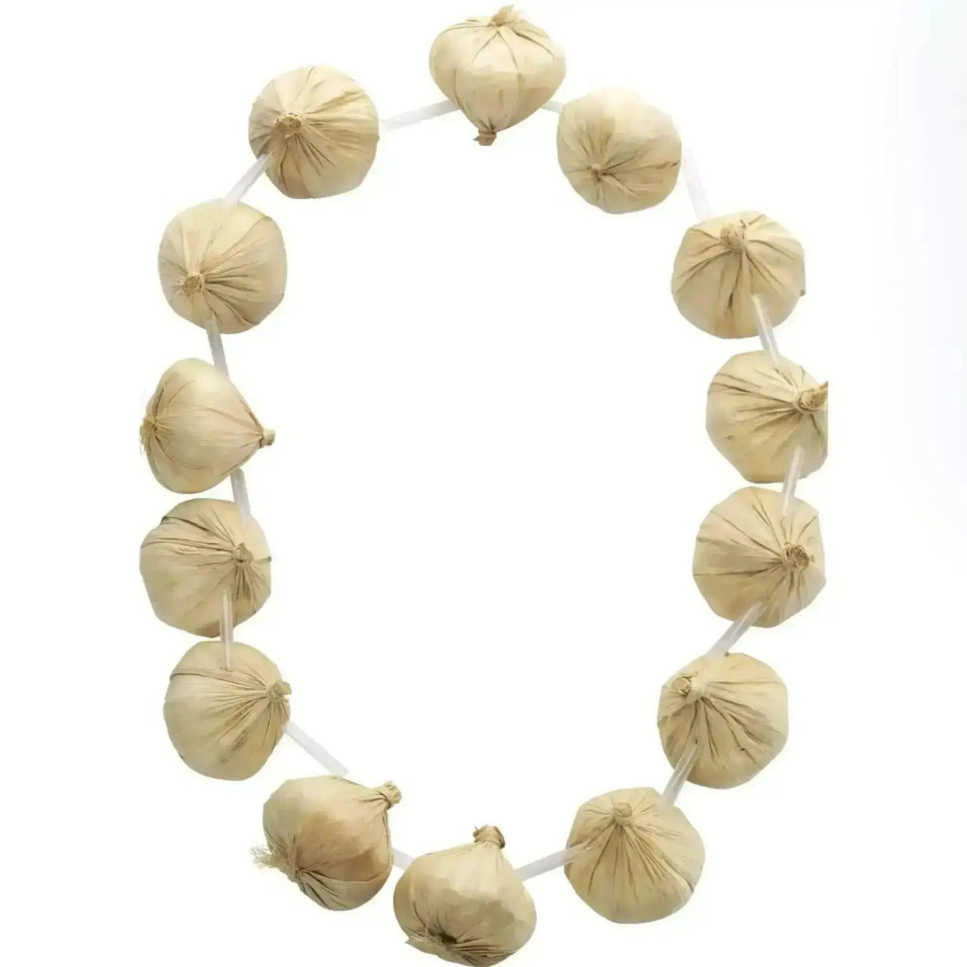 Garlic Garland