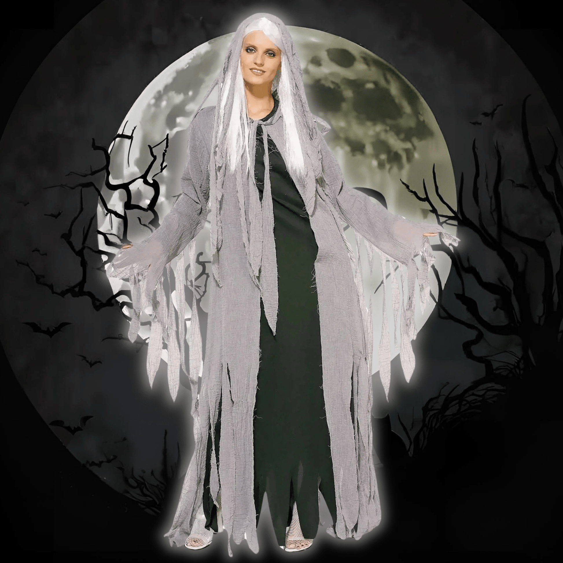 Midnight Spirit Ghost Dress Women's Costume