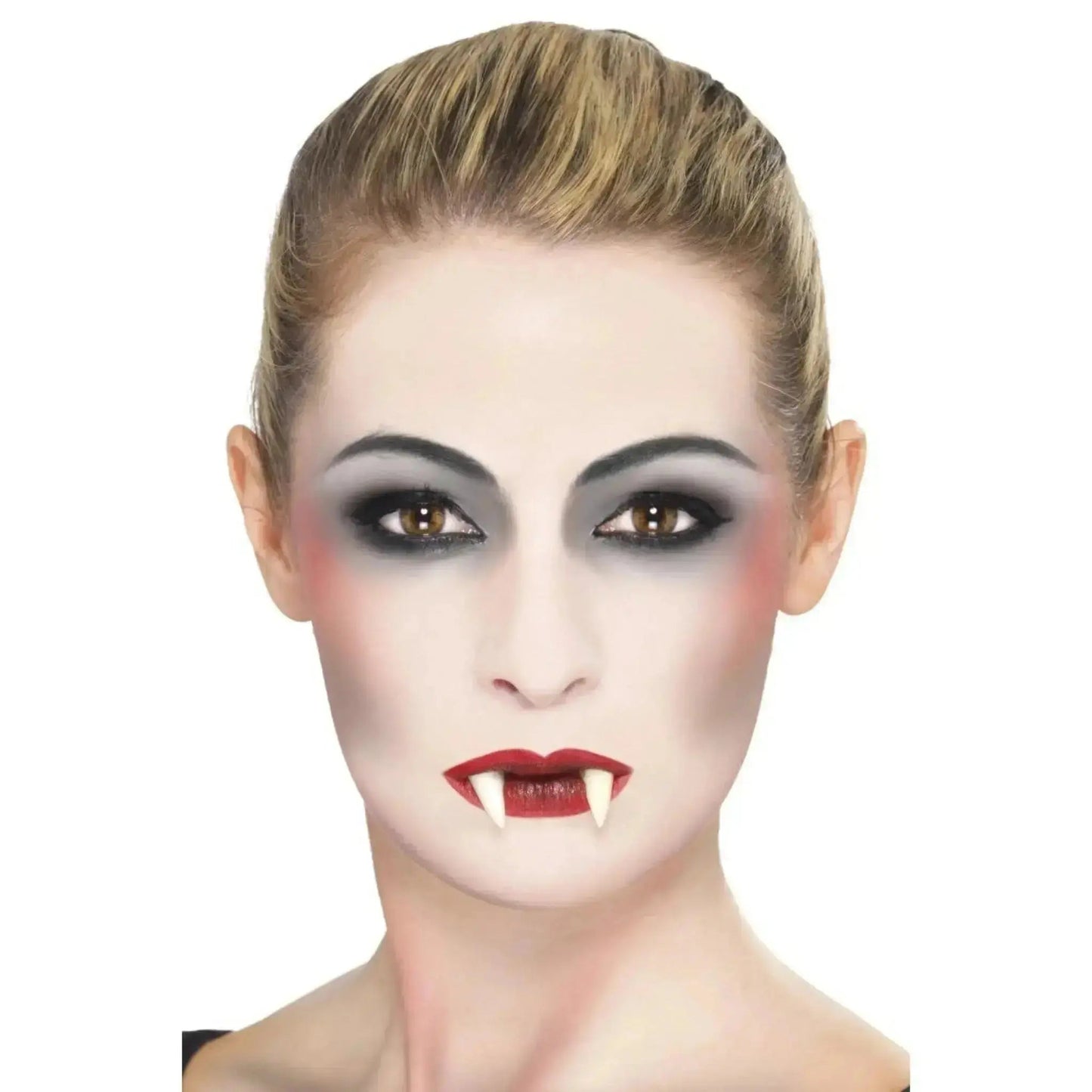 Vampire Makeup Kit | The Party Hut