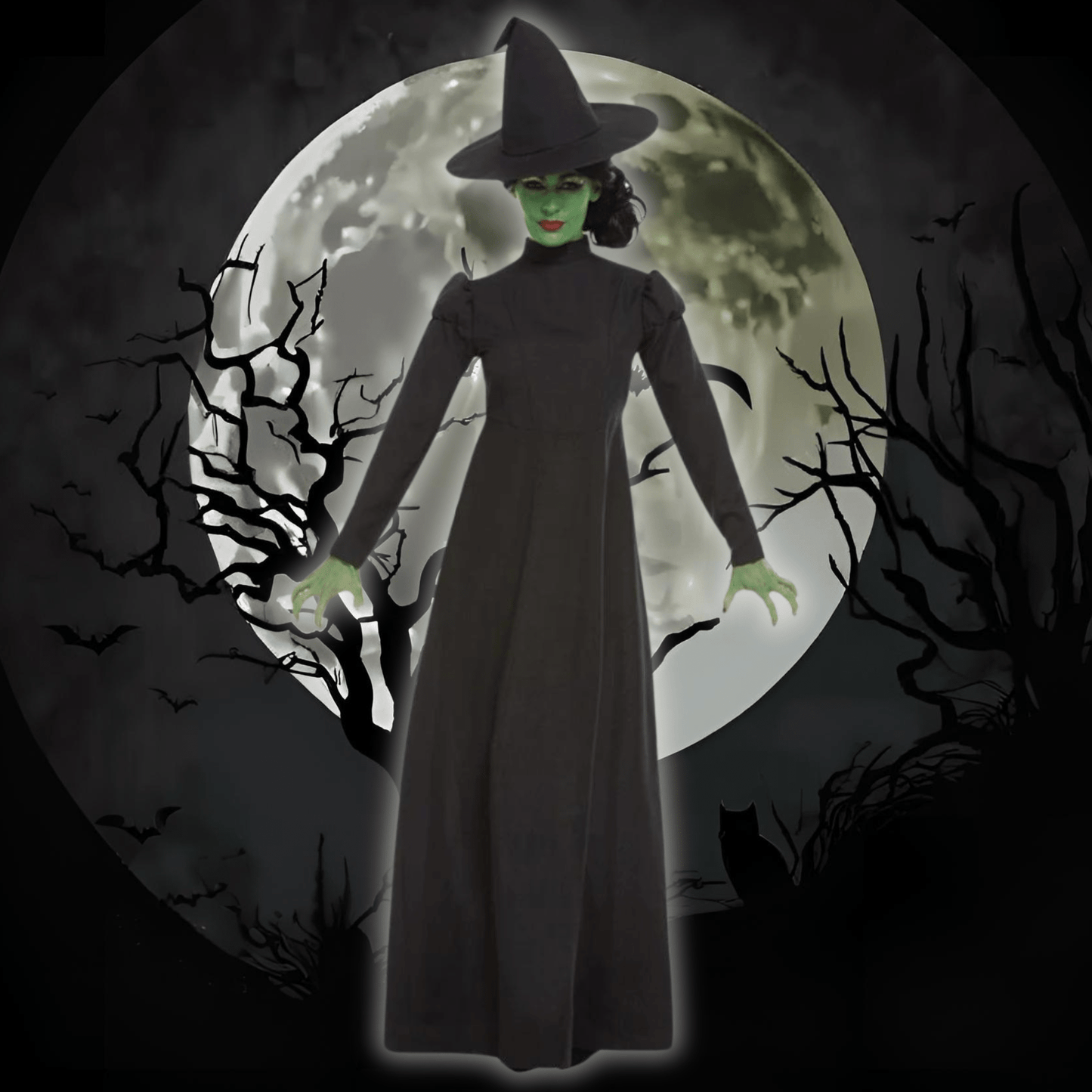 Wicked Witch Costume | The Party Hut