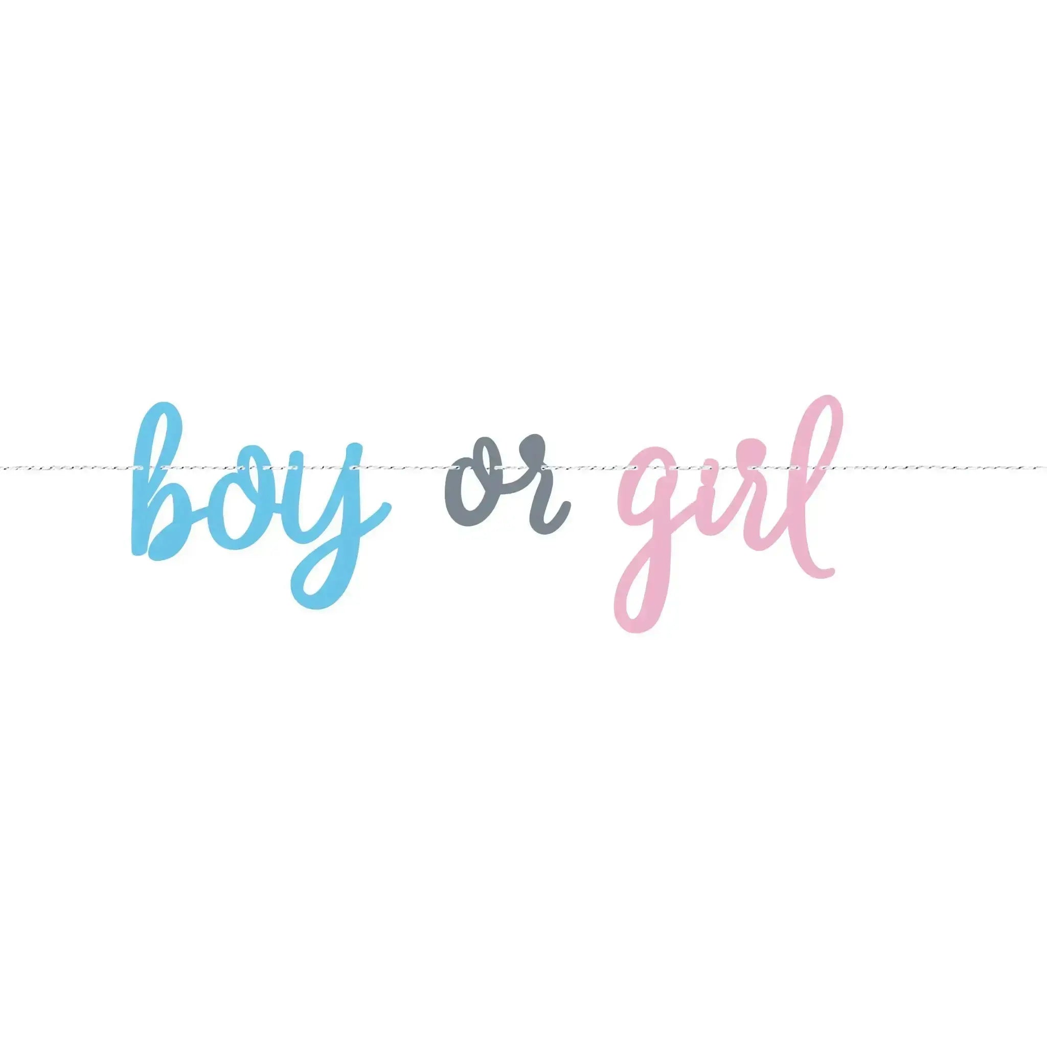 Gender Reveal, Boy or Girl Banner | The Party Hut
