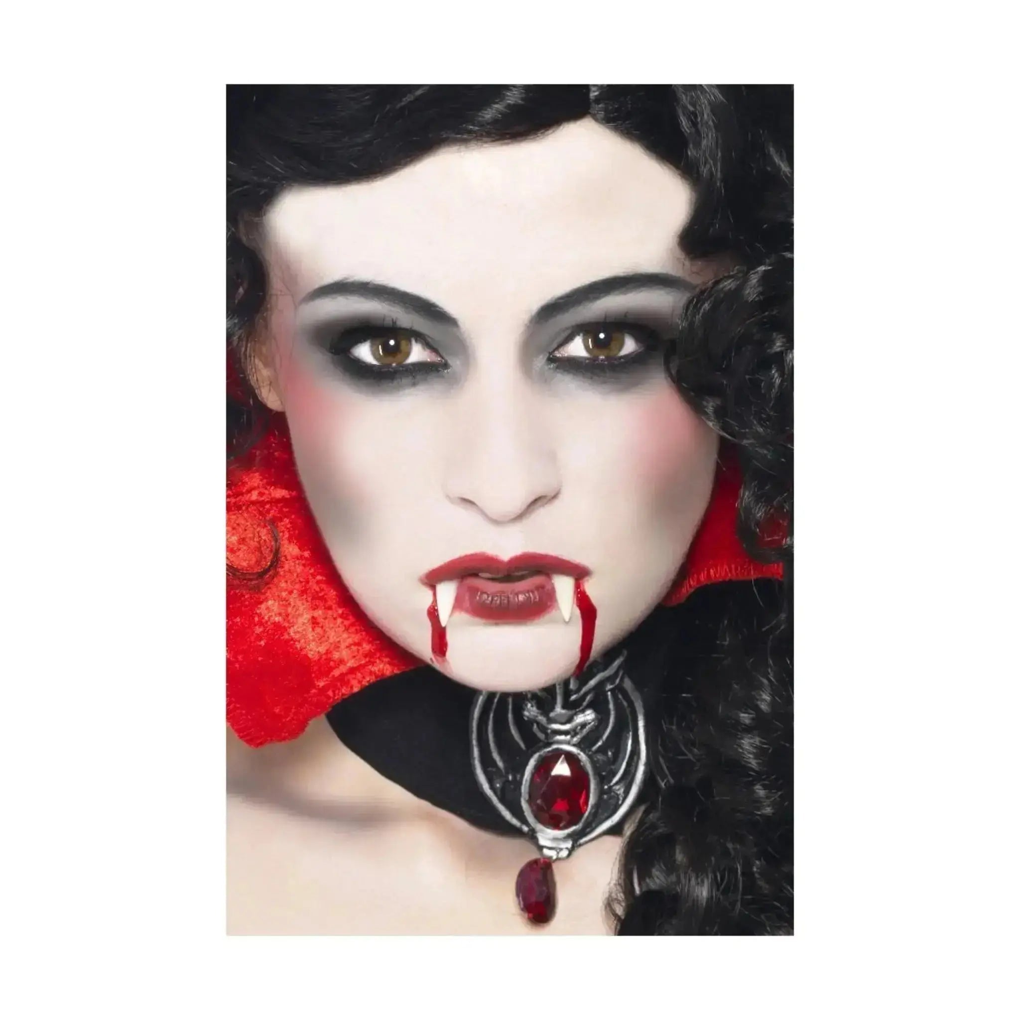 Vampire Makeup Kit | The Party Hut